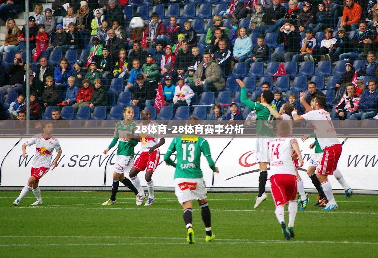 28體育-28體育賽事分析