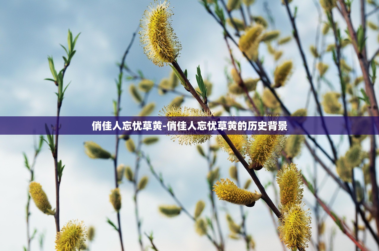 俏佳人忘憂草黃-俏佳人忘憂草黃的歷史背景