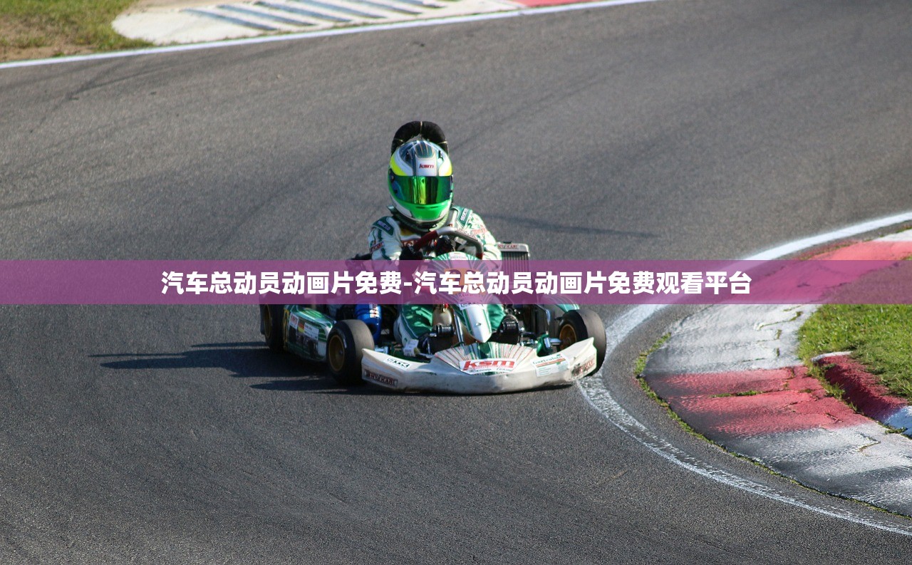 汽車總動(dòng)員動(dòng)畫片免費(fèi)-汽車總動(dòng)員動(dòng)畫片免費(fèi)觀看平臺(tái)