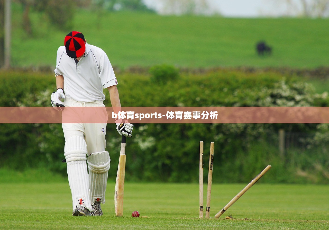 b體育sports-體育賽事分析