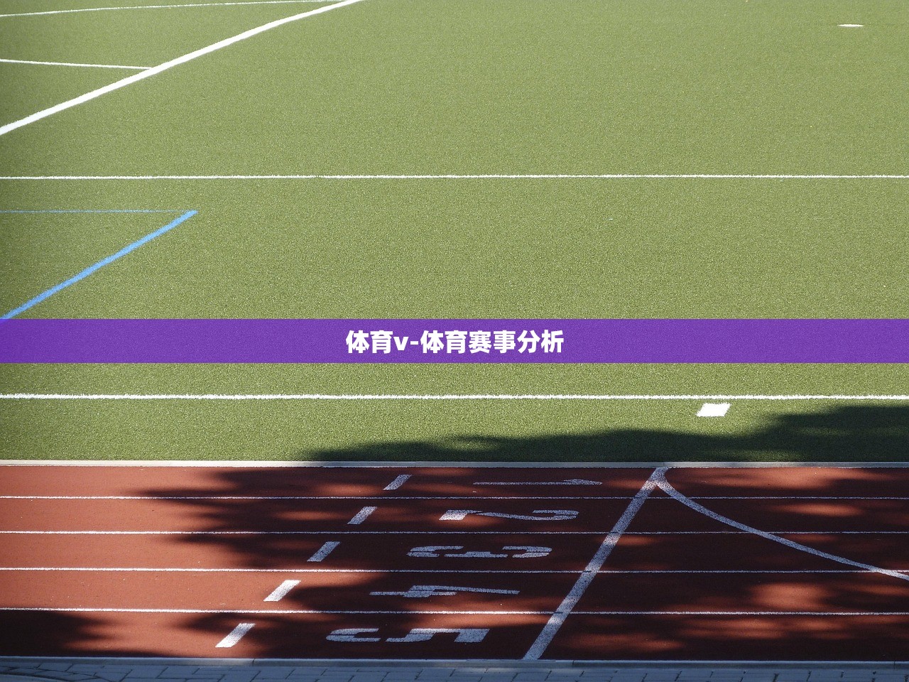 體育v-體育賽事分析
