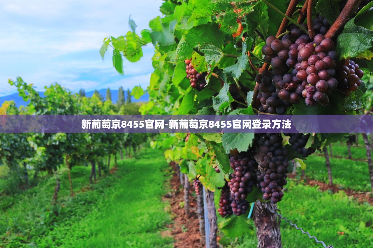 新葡萄京8455官網(wǎng)-新葡萄京8455官網(wǎng)登錄方法