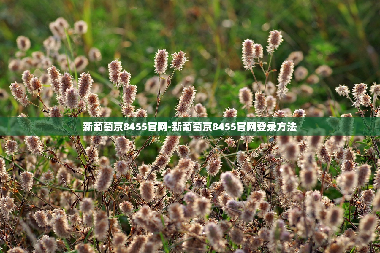 新葡萄京8455官網(wǎng)-新葡萄京8455官網(wǎng)登錄方法